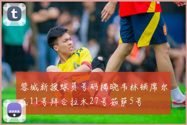 蓉城新援球员号码揭晓韦林顿席尔瓦11号拜合拉木27号茹萨5号