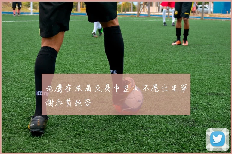 老鹰在浓眉交易中坚决不愿出里萨谢和首轮签